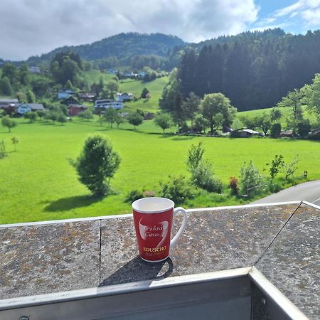 Wohnung Rheintal Im Alpenvorland Batschuns Dış mekan fotoğraf