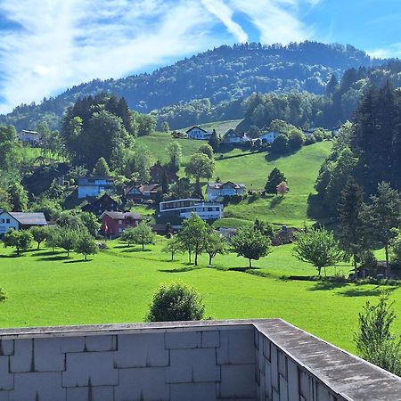 Wohnung Rheintal Im Alpenvorland Batschuns Dış mekan fotoğraf