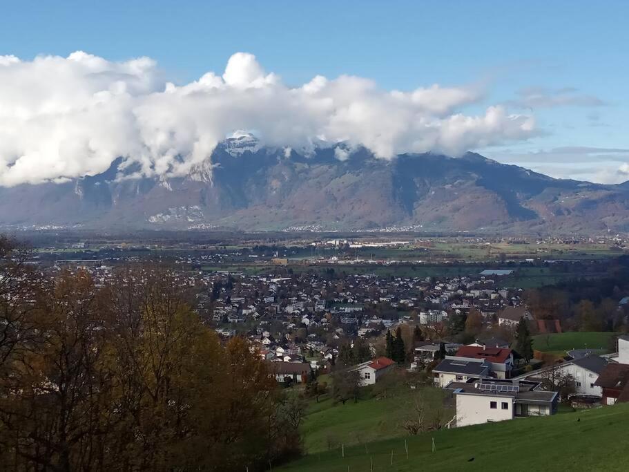 Wohnung Rheintal Im Alpenvorland Batschuns Dış mekan fotoğraf