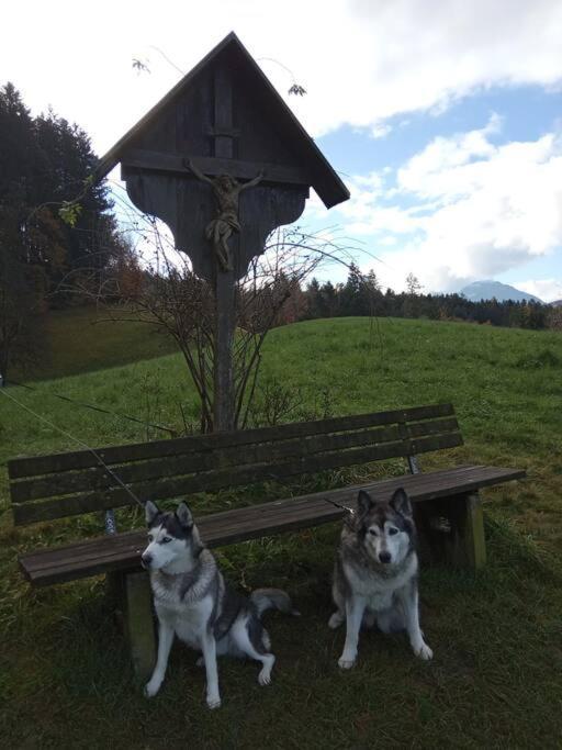 Wohnung Rheintal Im Alpenvorland Batschuns Dış mekan fotoğraf