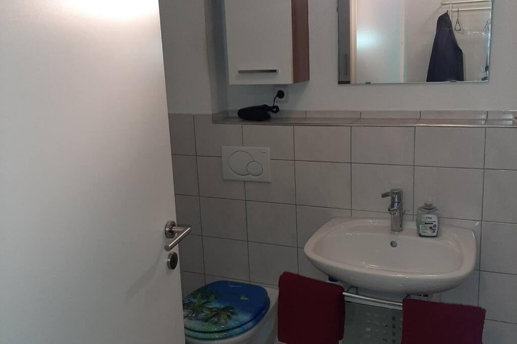 Wohnung Rheintal Im Alpenvorland Batschuns Dış mekan fotoğraf