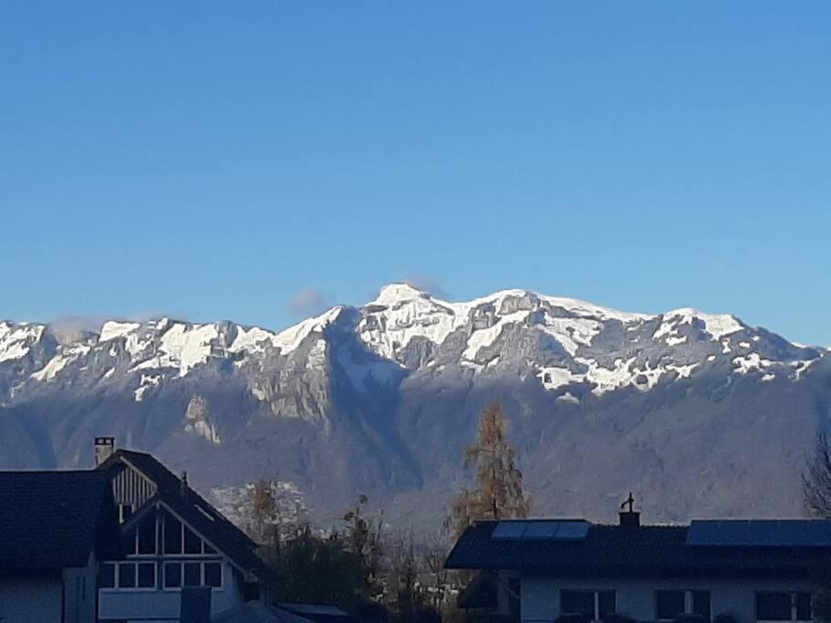 Wohnung Rheintal Im Alpenvorland Batschuns Dış mekan fotoğraf