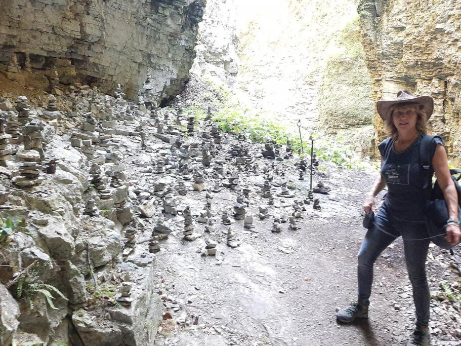 Wohnung Rheintal Im Alpenvorland Batschuns Dış mekan fotoğraf