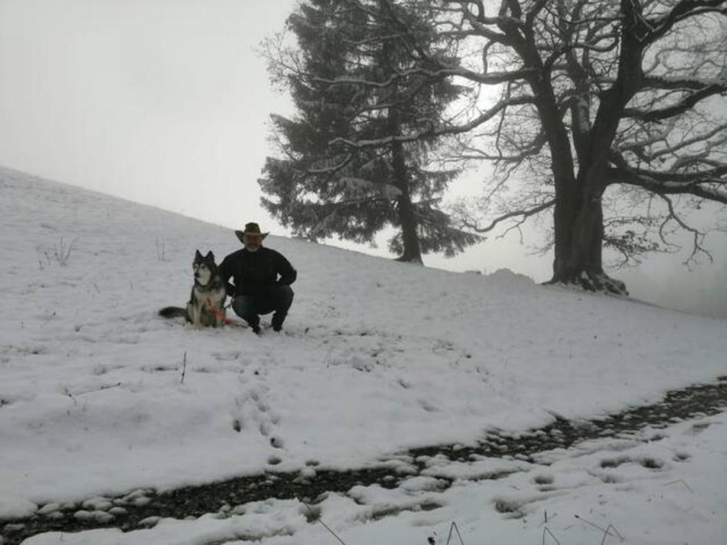 Wohnung Rheintal Im Alpenvorland Batschuns Dış mekan fotoğraf