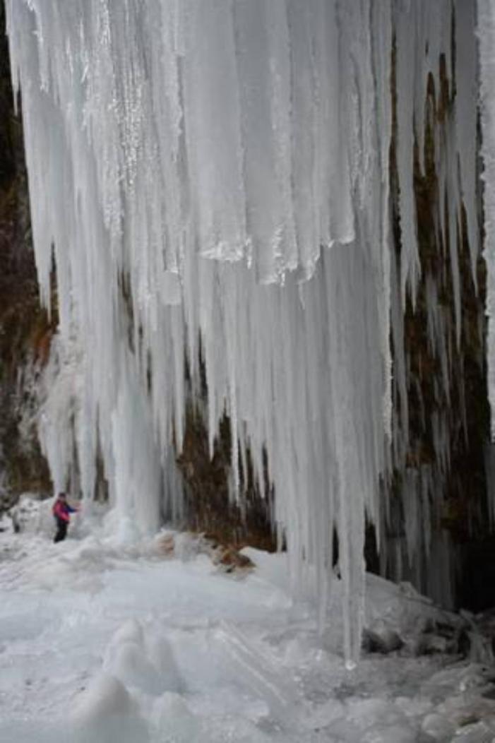 Wohnung Rheintal Im Alpenvorland Batschuns Dış mekan fotoğraf