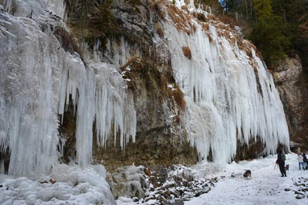 Wohnung Rheintal Im Alpenvorland Batschuns Dış mekan fotoğraf