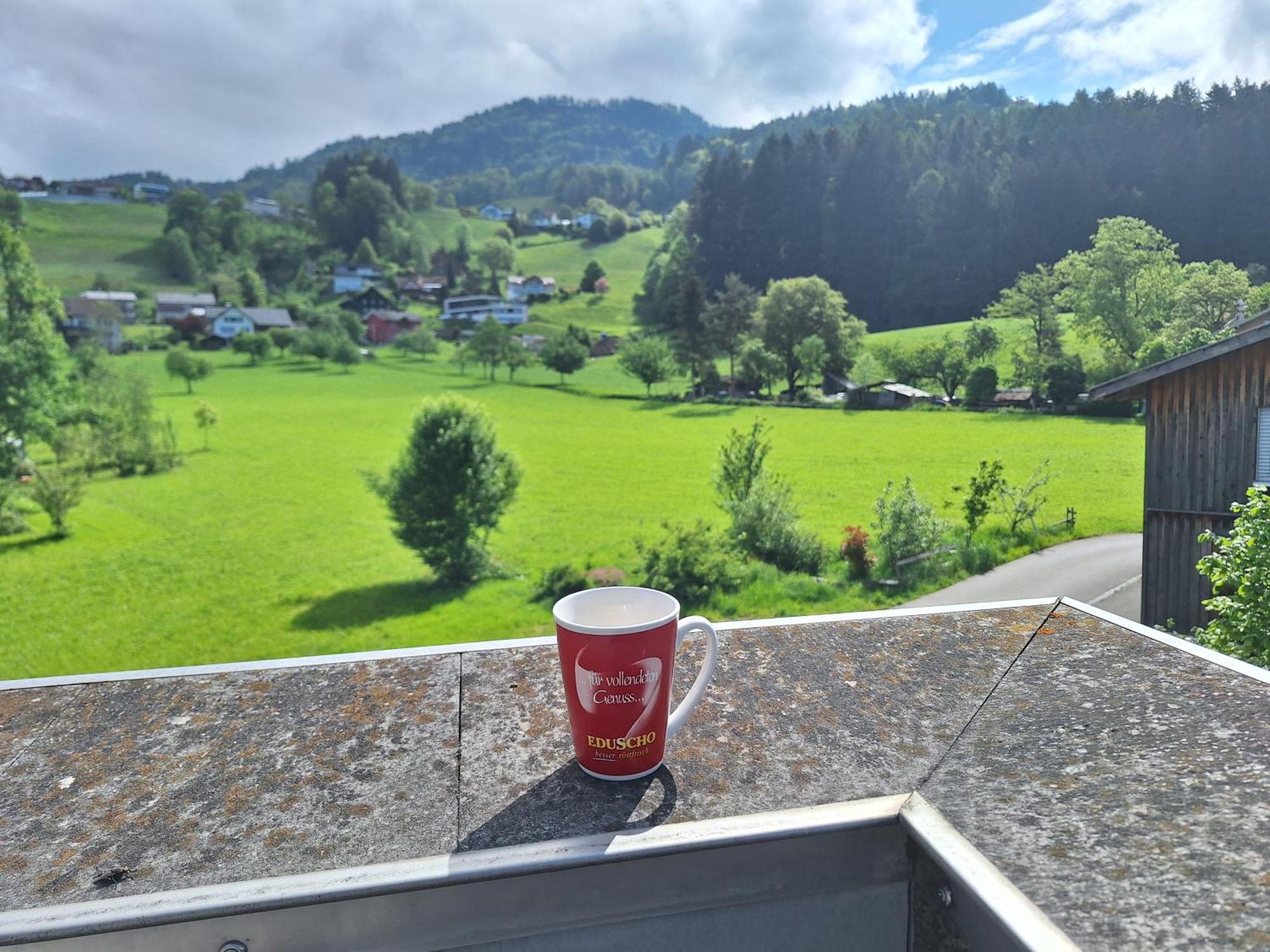 Wohnung Rheintal Im Alpenvorland Batschuns Dış mekan fotoğraf
