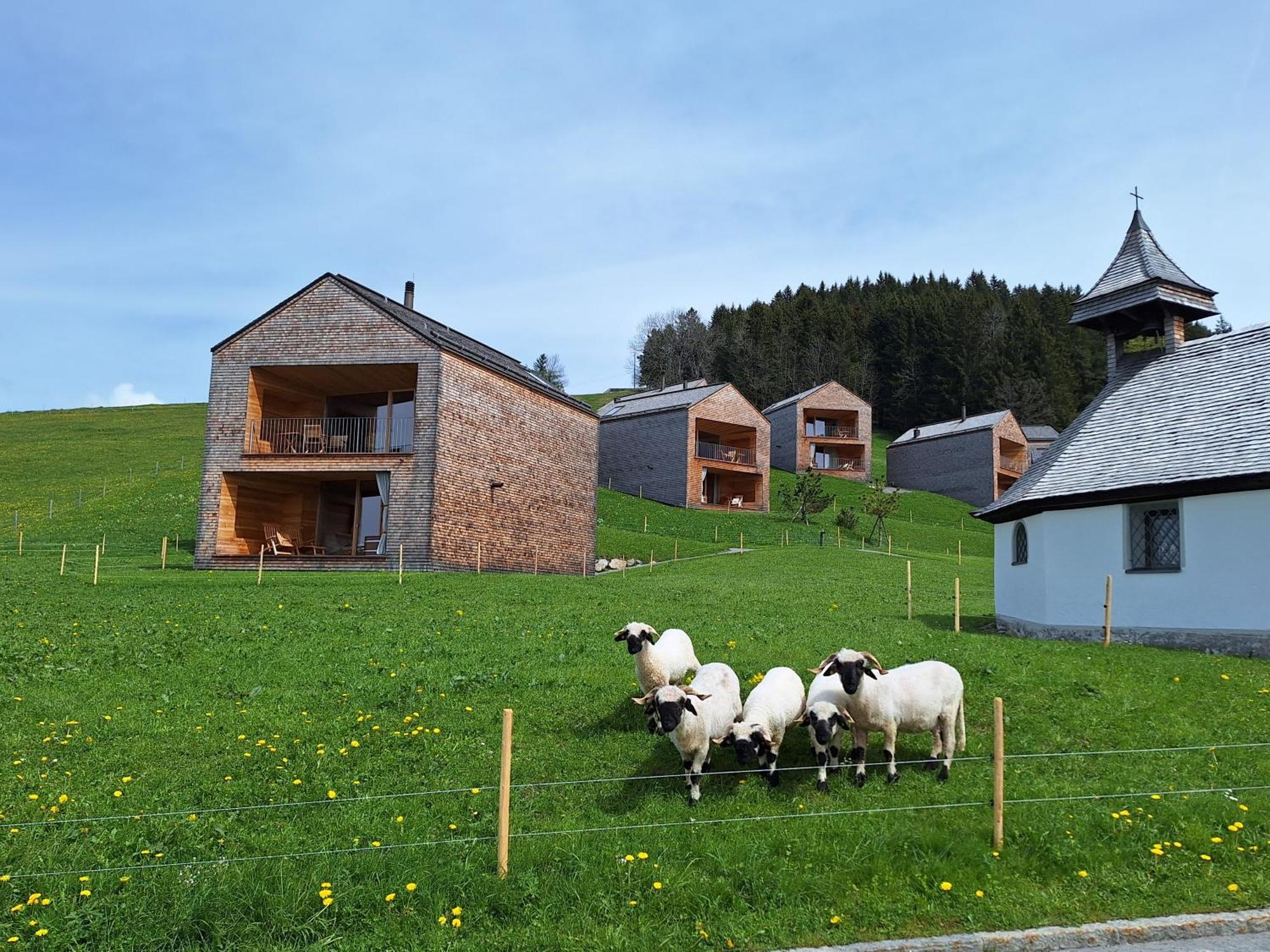 Wohnung Rheintal Im Alpenvorland Batschuns Dış mekan fotoğraf