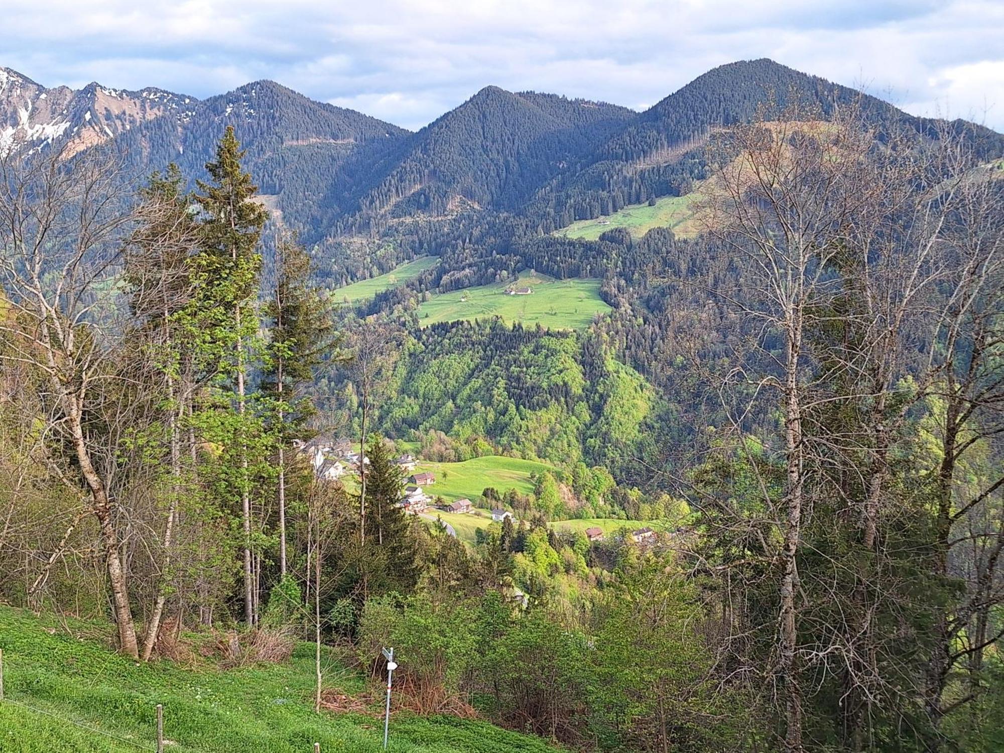 Wohnung Rheintal Im Alpenvorland Batschuns Dış mekan fotoğraf
