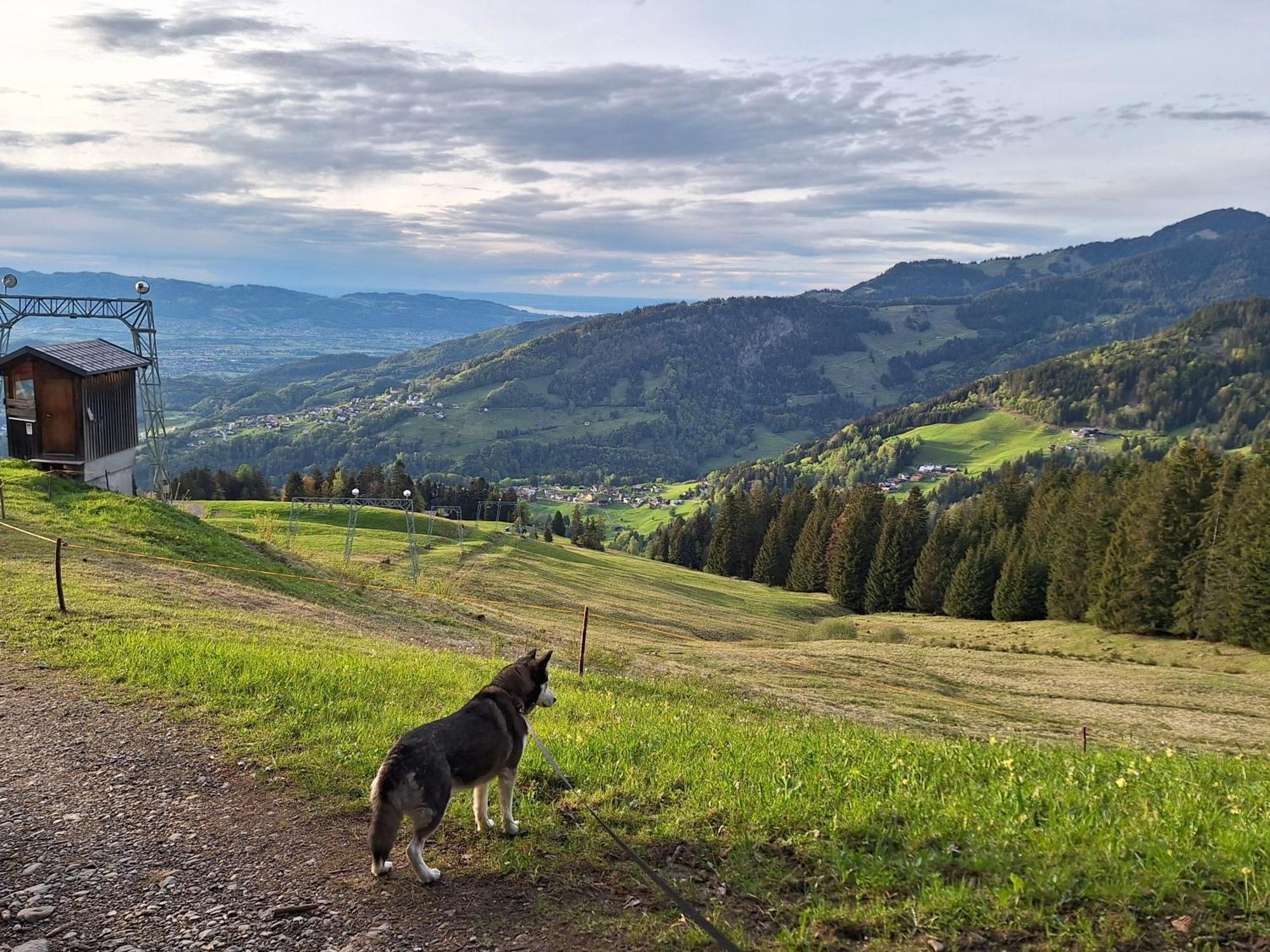 Wohnung Rheintal Im Alpenvorland Batschuns Dış mekan fotoğraf