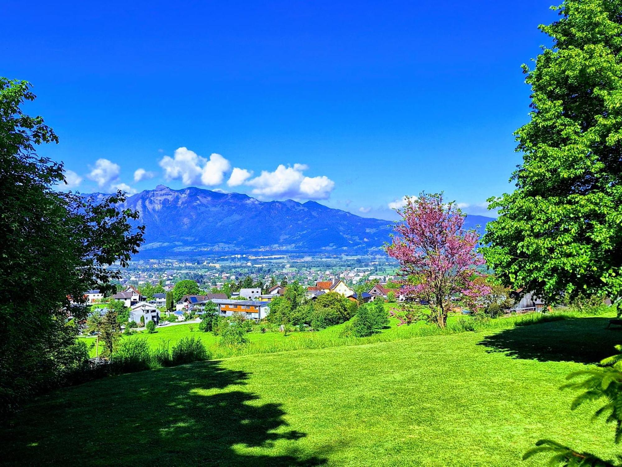 Wohnung Rheintal Im Alpenvorland Batschuns Dış mekan fotoğraf